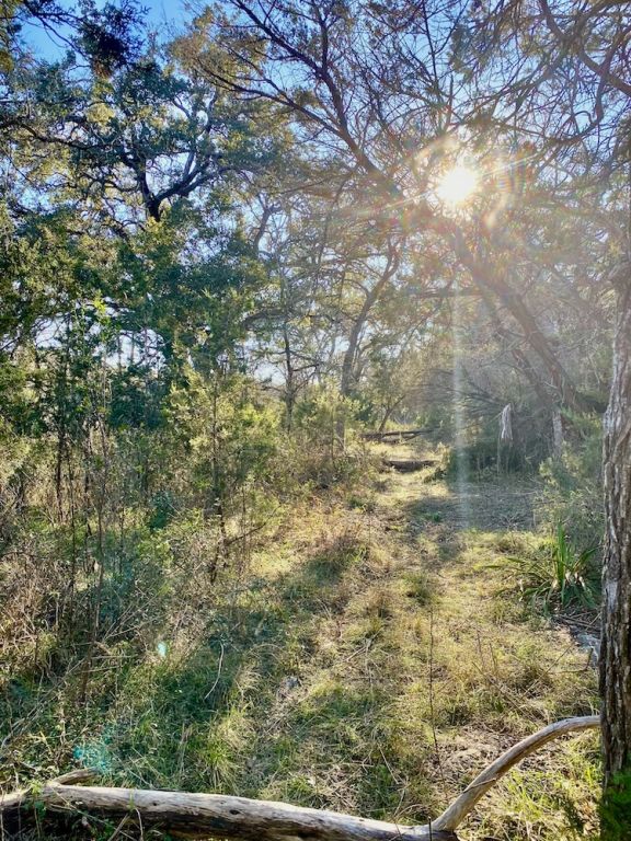 1081 Clark Cove Road Buda, TX 78610 - Photo 5 of 14 a view of a lake from a yard