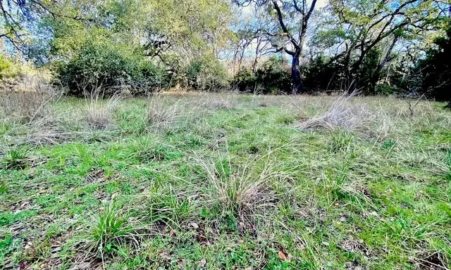 a view of outdoor space and yard