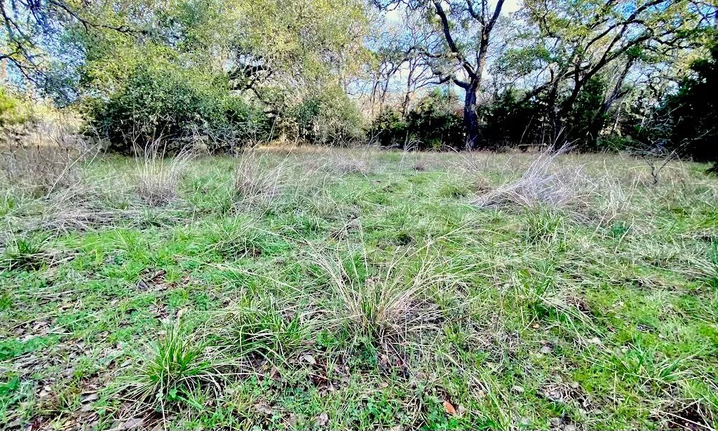 1081 Clark Cove Road Buda, TX 78610 - Photo 6 of 14 a view of outdoor space and yard