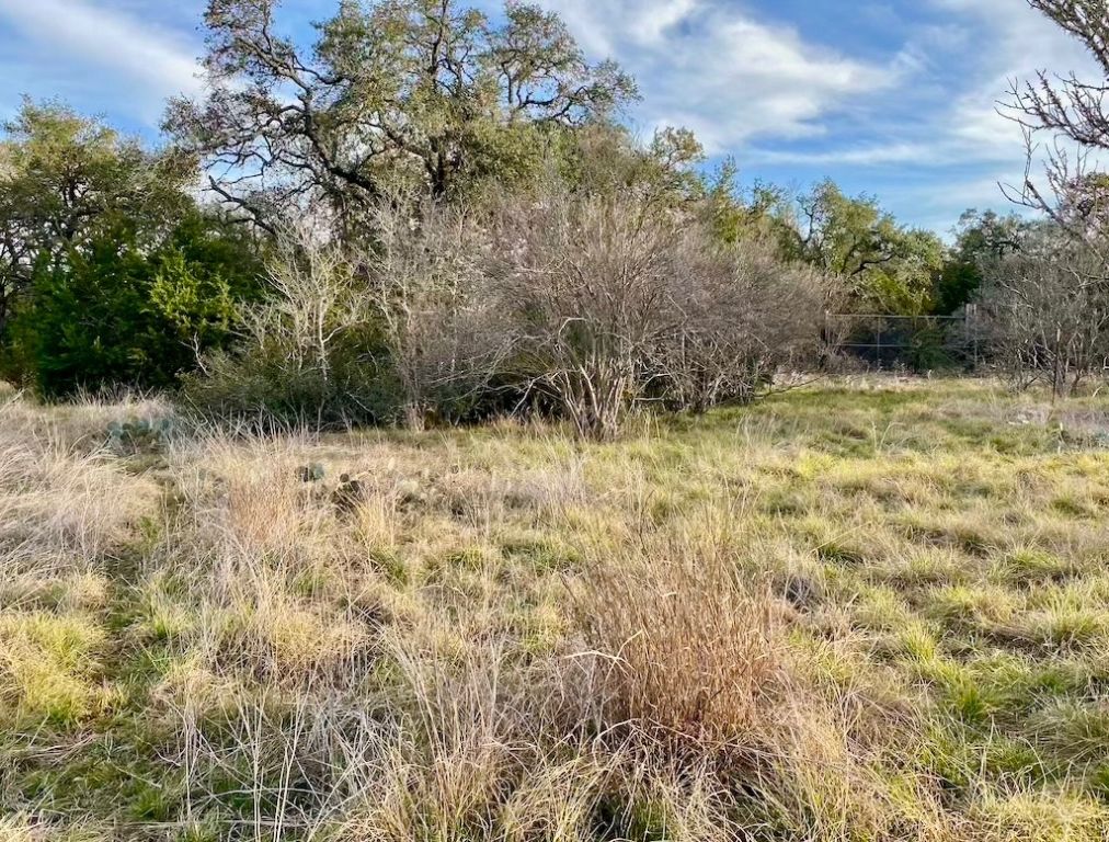 1081 Clark Cove Road Buda, TX 78610 - Photo 8 of 14 a view of small yard