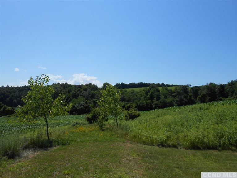 0 Hartigan Road Chatham, NY 12037 - Photo 7 of 9 Photo 8