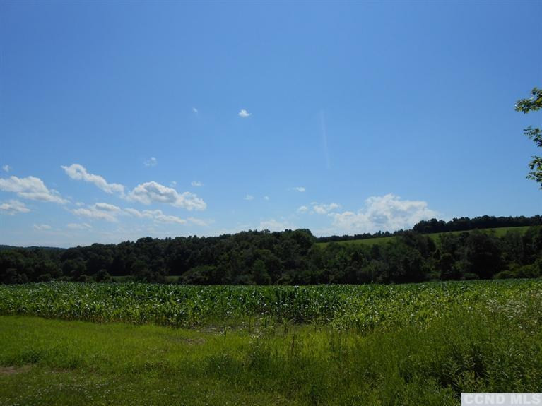 0 Hartigan Road Chatham, NY 12037 - Photo 8 of 9 Photo 9