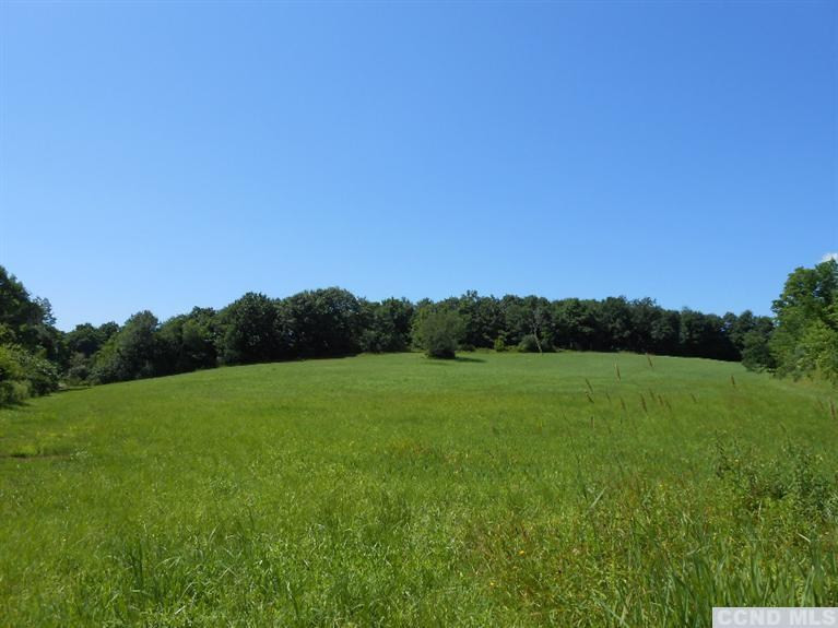 0 Hartigan Road Chatham, NY 12037 - Photo 9 of 9 Photo 10