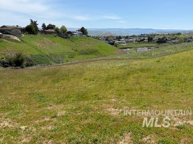 2945 25th Street Clarkston, WA 99403 - Photo 7 of 46 View of yard
