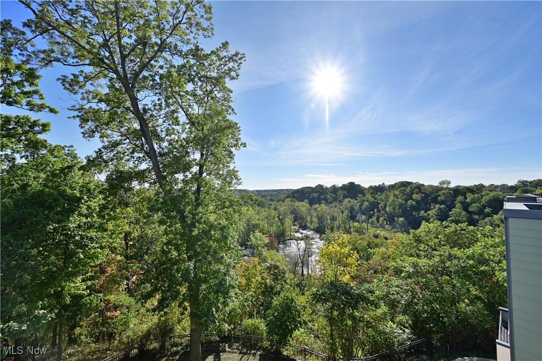18875 Riversouth Fairview Park, Unit 30 Cleveland, OH 44126 - Photo 30 of 39 View of mountain backdrop with a forest