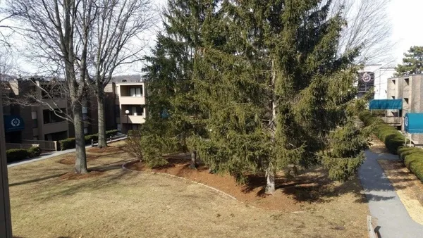 a backyard of a house with large trees and outdoor space