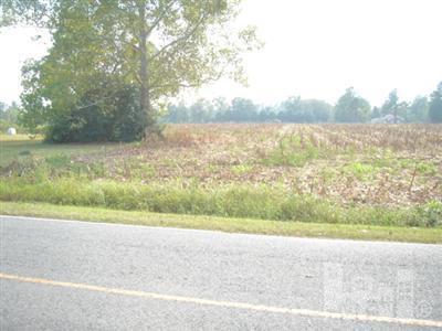 200 Crooked Run Road Willard, NC 28478 - Photo 1 of 1 Additional Photo