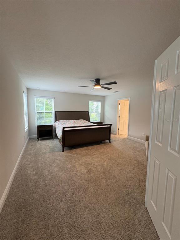 14654 Horse Trot Road Lithia, FL 33547 - Photo 24 of 32