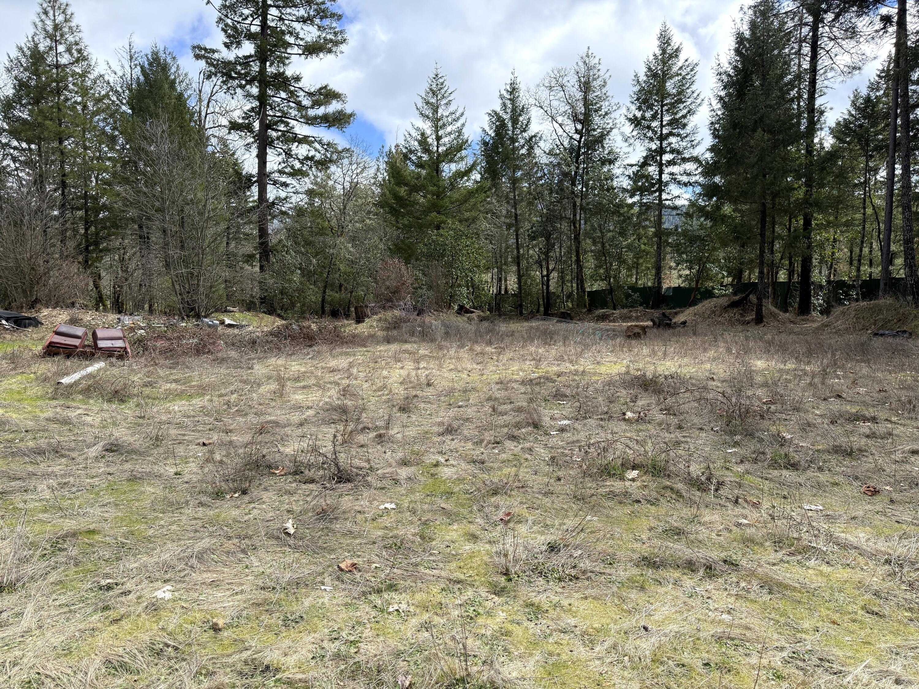 3779 Dick George Road Cave Junction, OR 97523 - Photo 3 of 8 Looking East towards back of prop