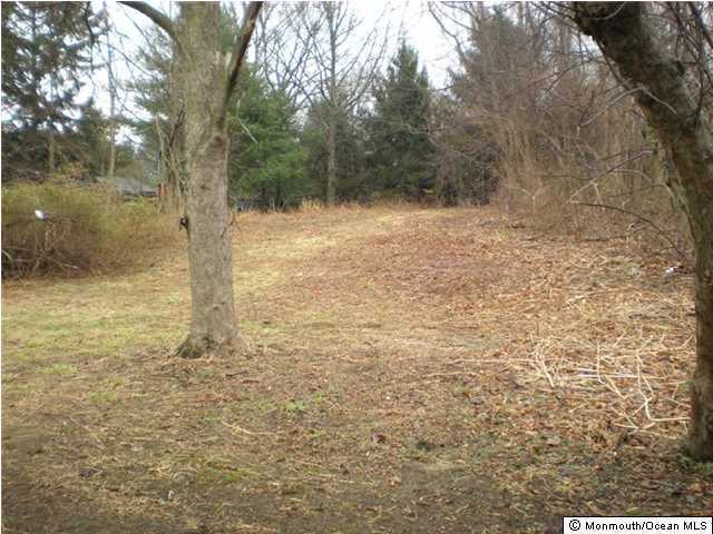 47 Tindall Road, Unit 1 Middletown, NJ 07748 - Photo 3 of 3 a view of a yard