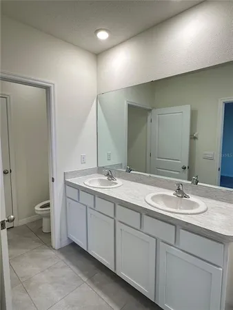 a bathroom with a double vanity sink toilet and a mirror