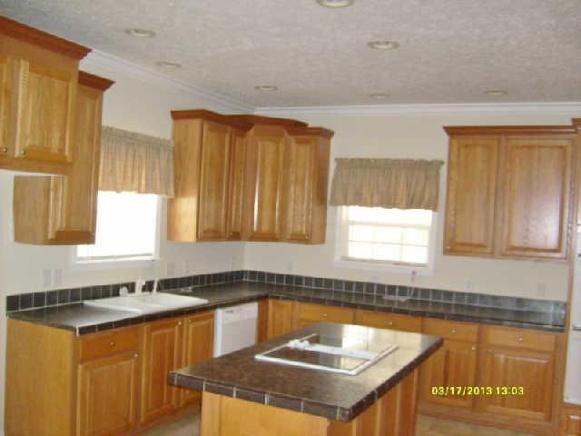 9941 Chestnut Ridge Road Lynchburg, TN 37352 - Photo 3 of 17 Kitchen