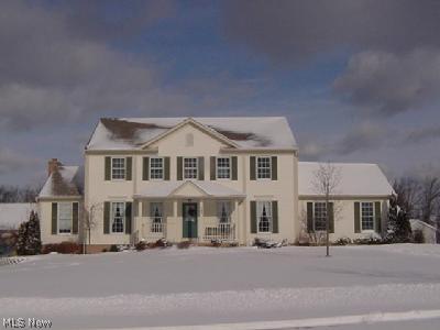 245 Long Road Macedonia, OH 44056 - Photo 1 of 1 Pretty 4 bedroom, 2.1 bath colonial in Spring Hill