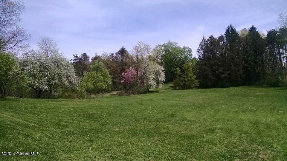272 Shaver Road Sand Lake, NY 12196 - Photo 44 of 49 11205509_10206359359250199_8338011691133