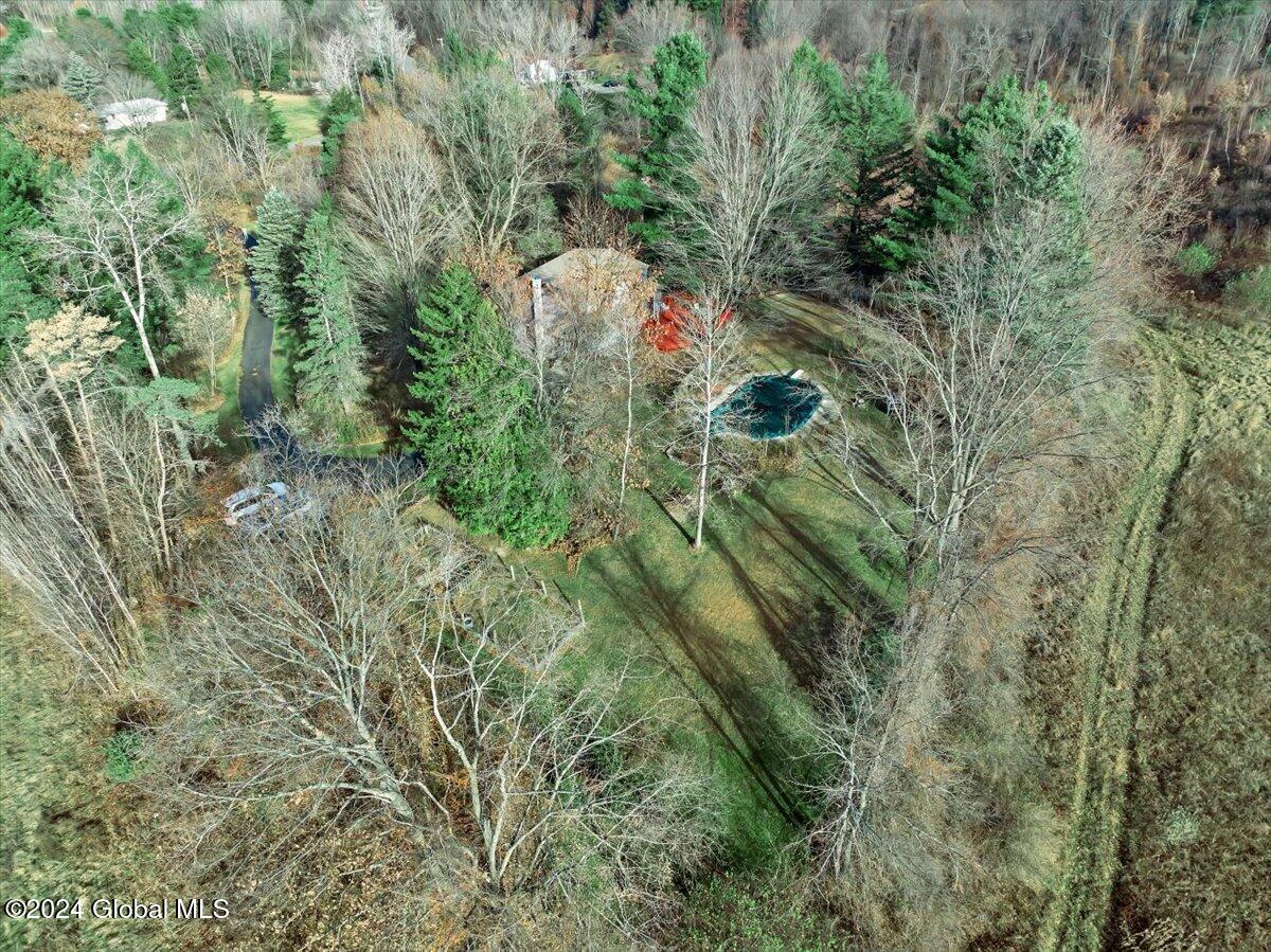 272 Shaver Road Sand Lake, NY 12196 - Photo 7 of 49 43-DJI_0915
