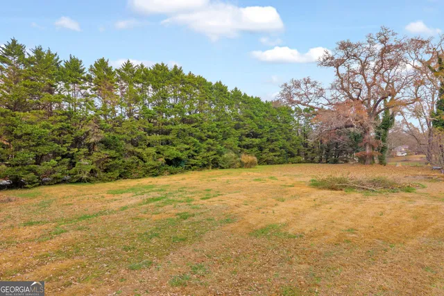 a view of yard with large trees