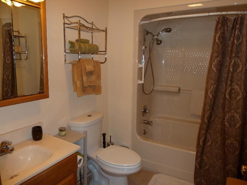 6951 Larson Road Hubbard Lake, MI 49747 - Photo 8 of 12 Gallery Image 8