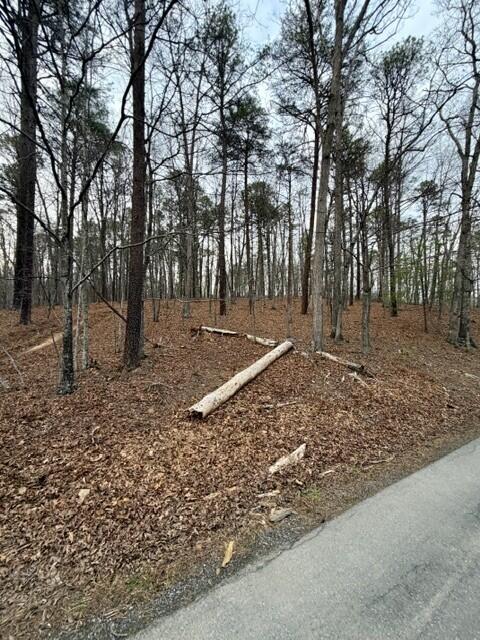 0 Timberview Road Roanoke, VA 24019 - Photo 2 of 7 TIMBERVIEW ROAD FRONTAGE