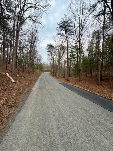 0 Timberview Road Roanoke, VA 24019 - Photo 3 of 7 STREET SCENES TIMBERVIEW