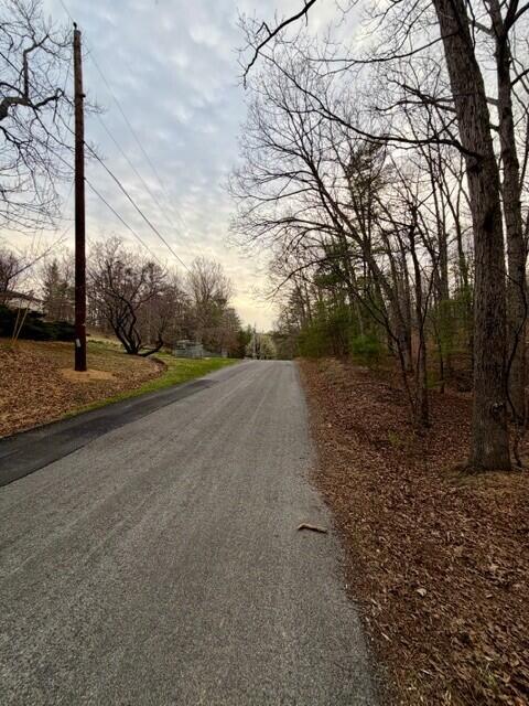 0 Timberview Road Roanoke, VA 24019 - Photo 4 of 7 STREET SCENES TIMBERVIEW2