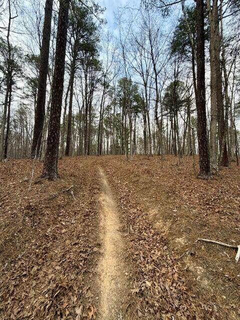 0 Timberview Road Roanoke, VA 24019 - Photo 5 of 7 TIMBERVIEW ACCESS TRAIL