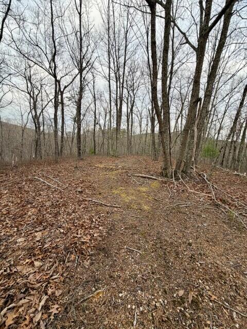 0 Timberview Road Roanoke, VA 24019 - Photo 6 of 7 TIMBERVIEW LAND