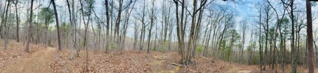 0 Timberview Road Roanoke, VA 24019 - Photo 7 of 7 TIMBERVIEW PANO