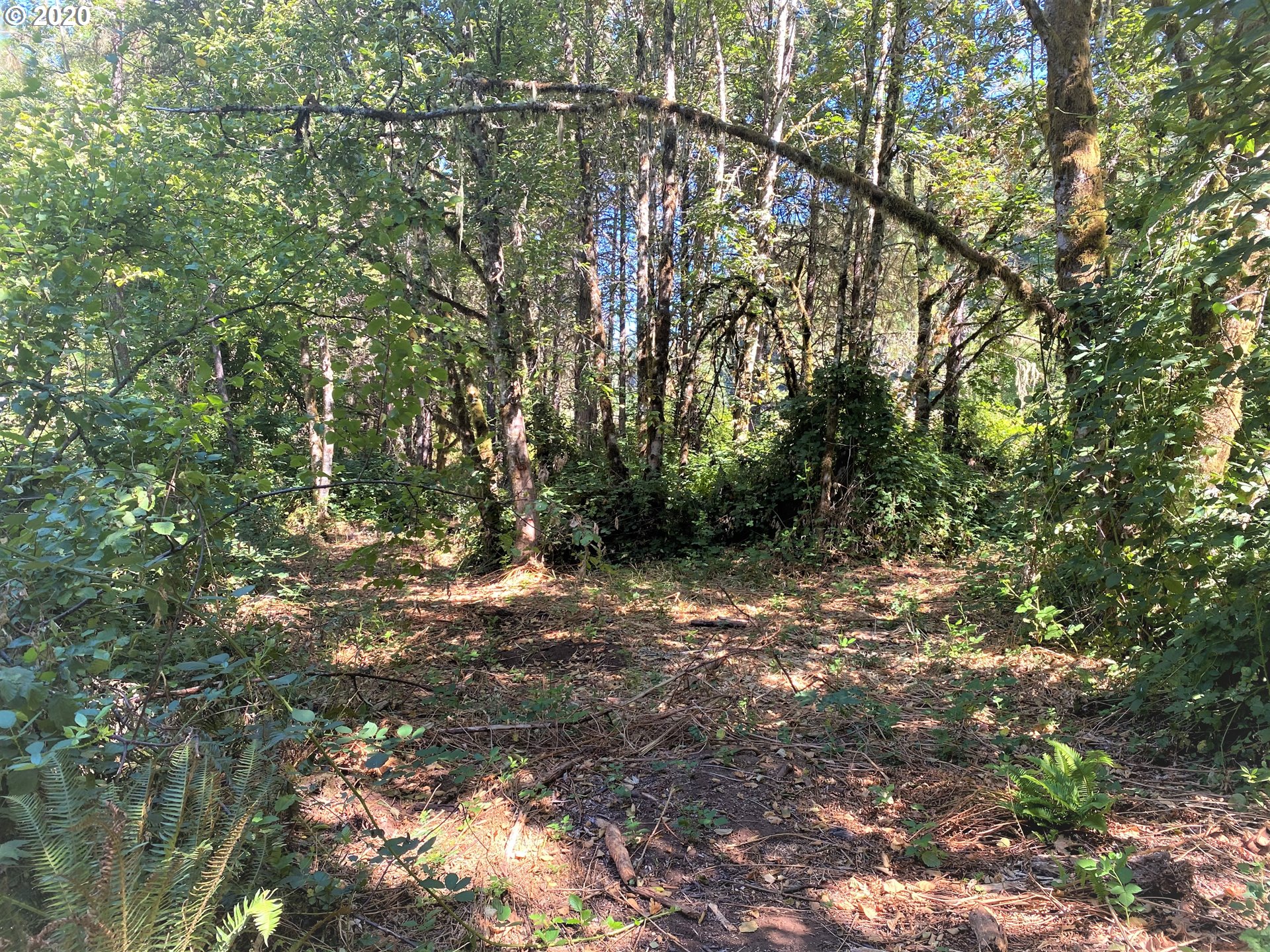 86345 Panorama Road Springfield, OR 97478 - Photo 31 of 32