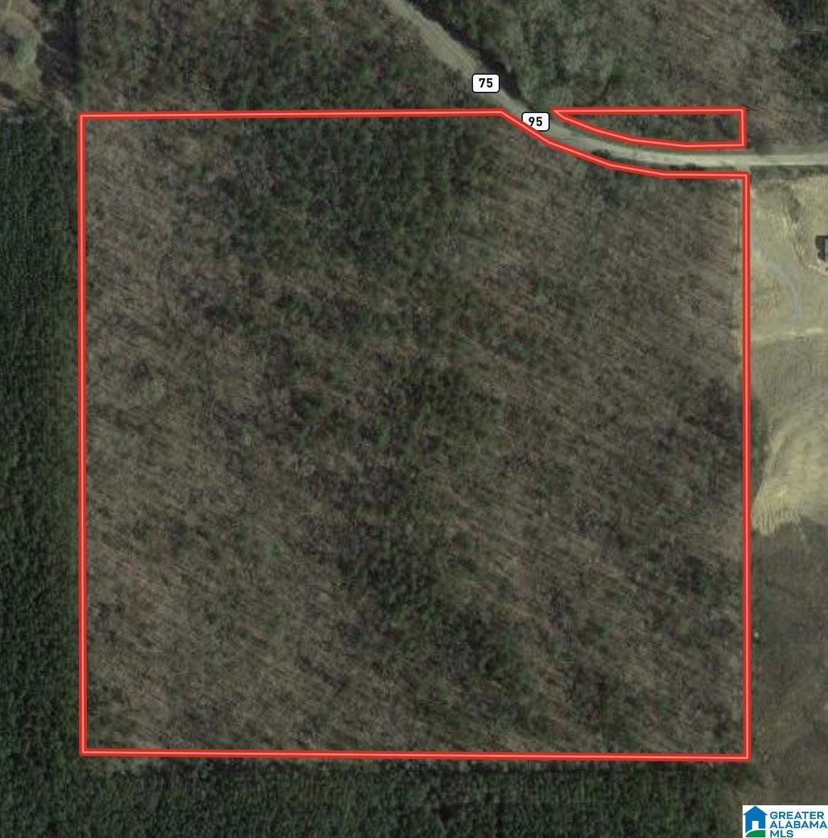 0 County Road 95 Montevallo, AL 35115 - Photo 10 of 10