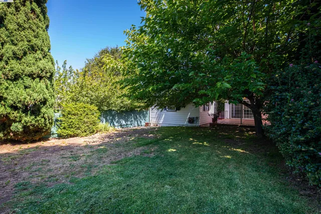 a view of a tree in front of a house