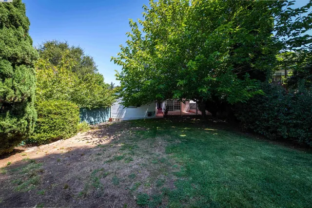 a view of a back yard