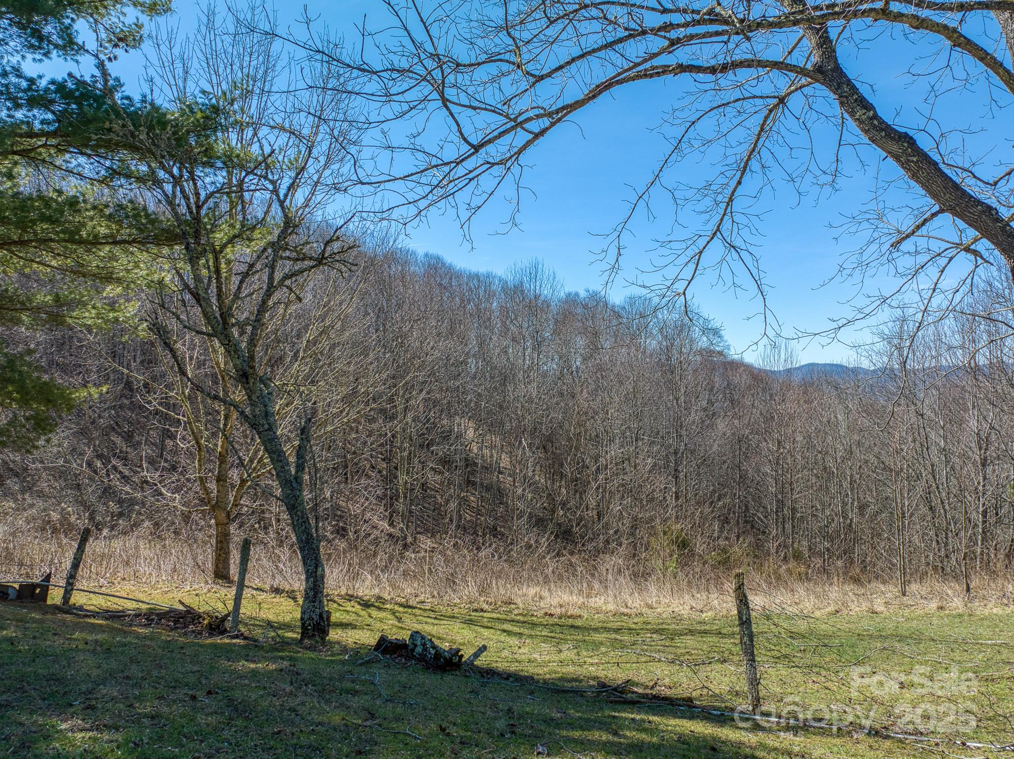 6435 Big Ridge Road Glenville, NC 28736 - Photo 15 of 18