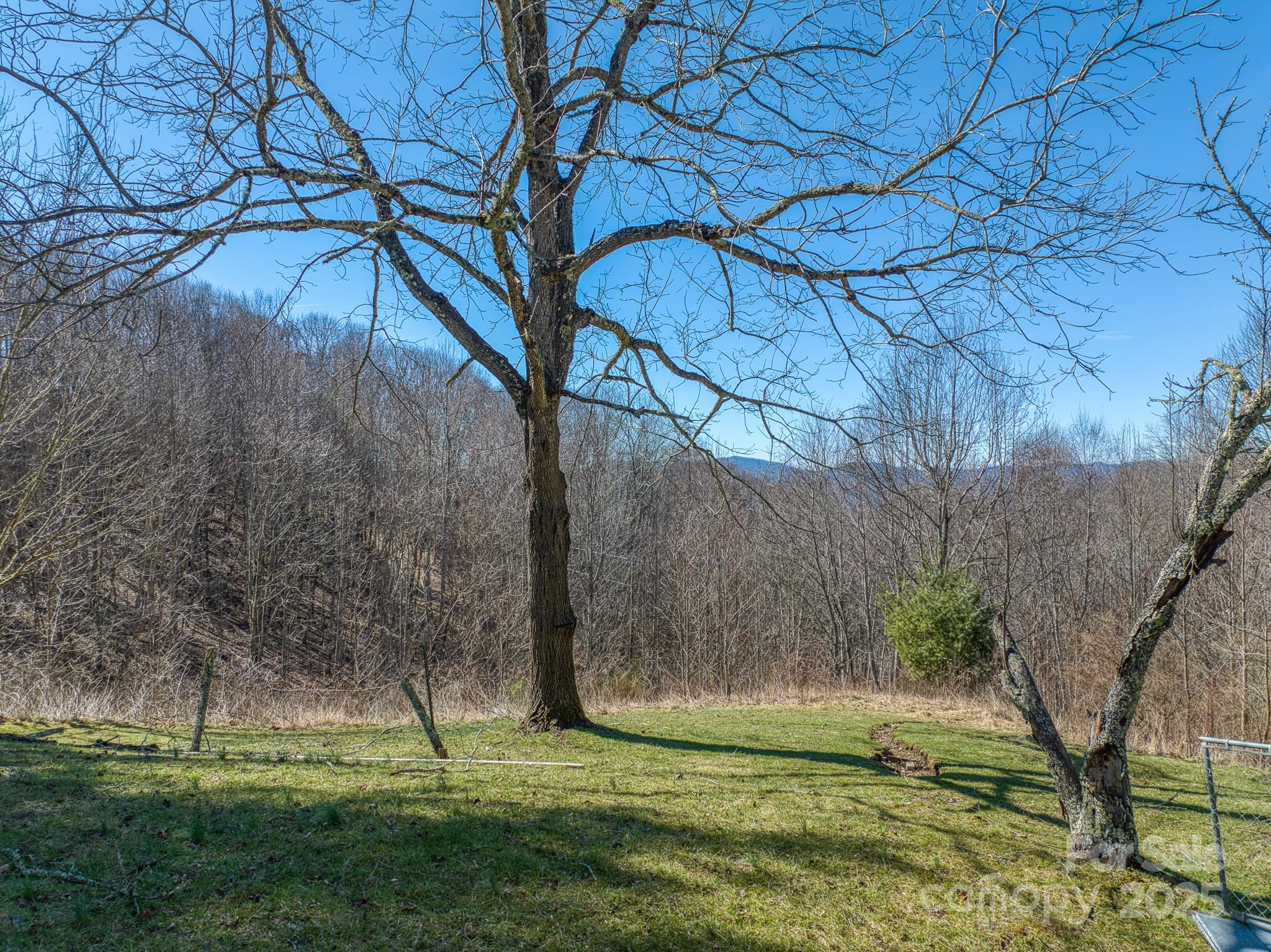 6435 Big Ridge Road Glenville, NC 28736 - Photo 16 of 18