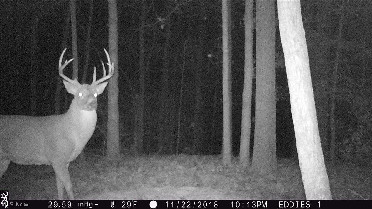 Ashton Hill Road Caldwell, OH 43724 - Photo 3 of 26