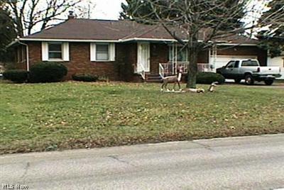 110 South Leavitt Road Amherst, OH 44001 - Photo 1 of 1 Gallery Image 1