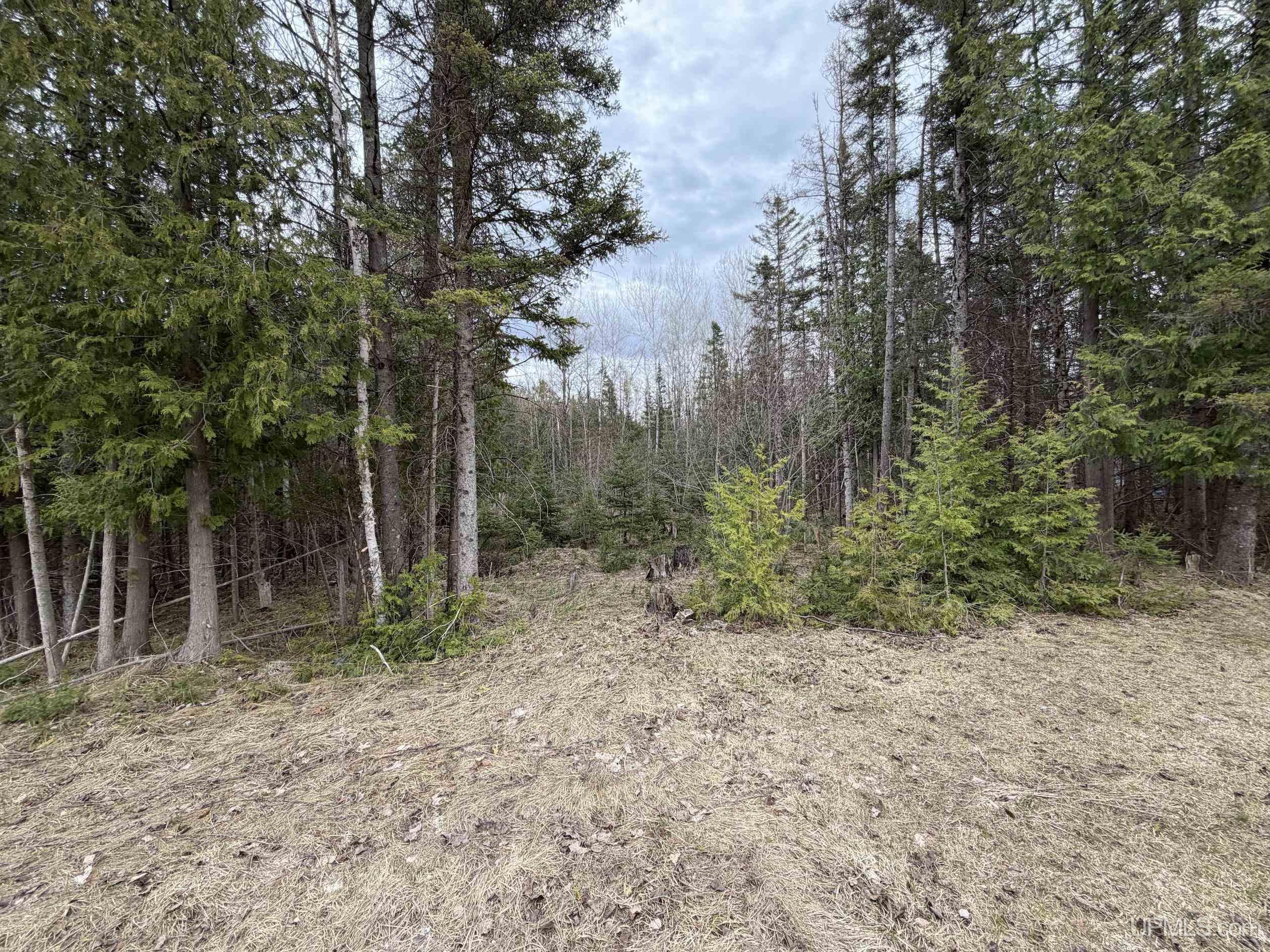 41 Rd Trenary Mi 49891 Road Rapid River, MI 49878 - Photo 6 of 10