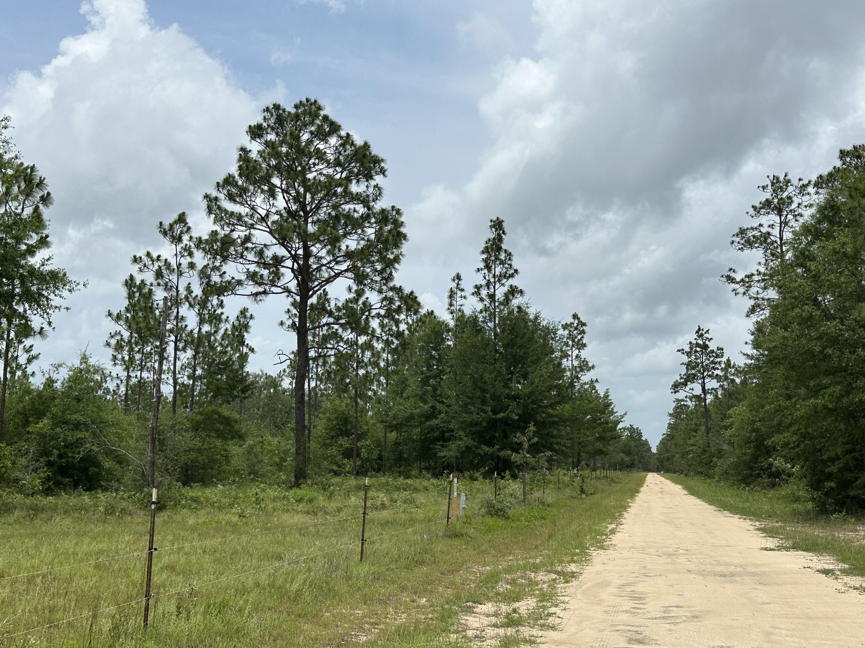 Parcel D Parcel D Wildlife Road Holt, FL 32564 - Photo 2 of 6 IMG_1216