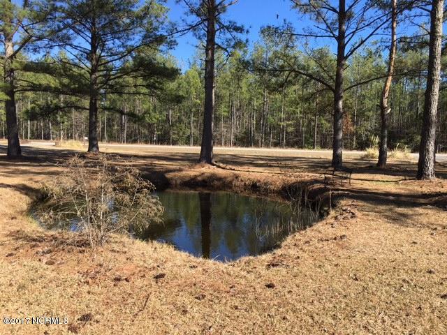 FRONT YARD POND