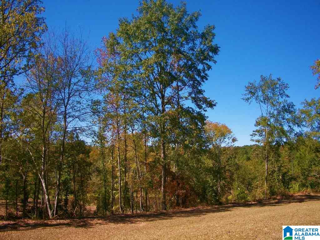 205 Gessler Drive Ohatchee, AL 36271 - Photo 23 of 50