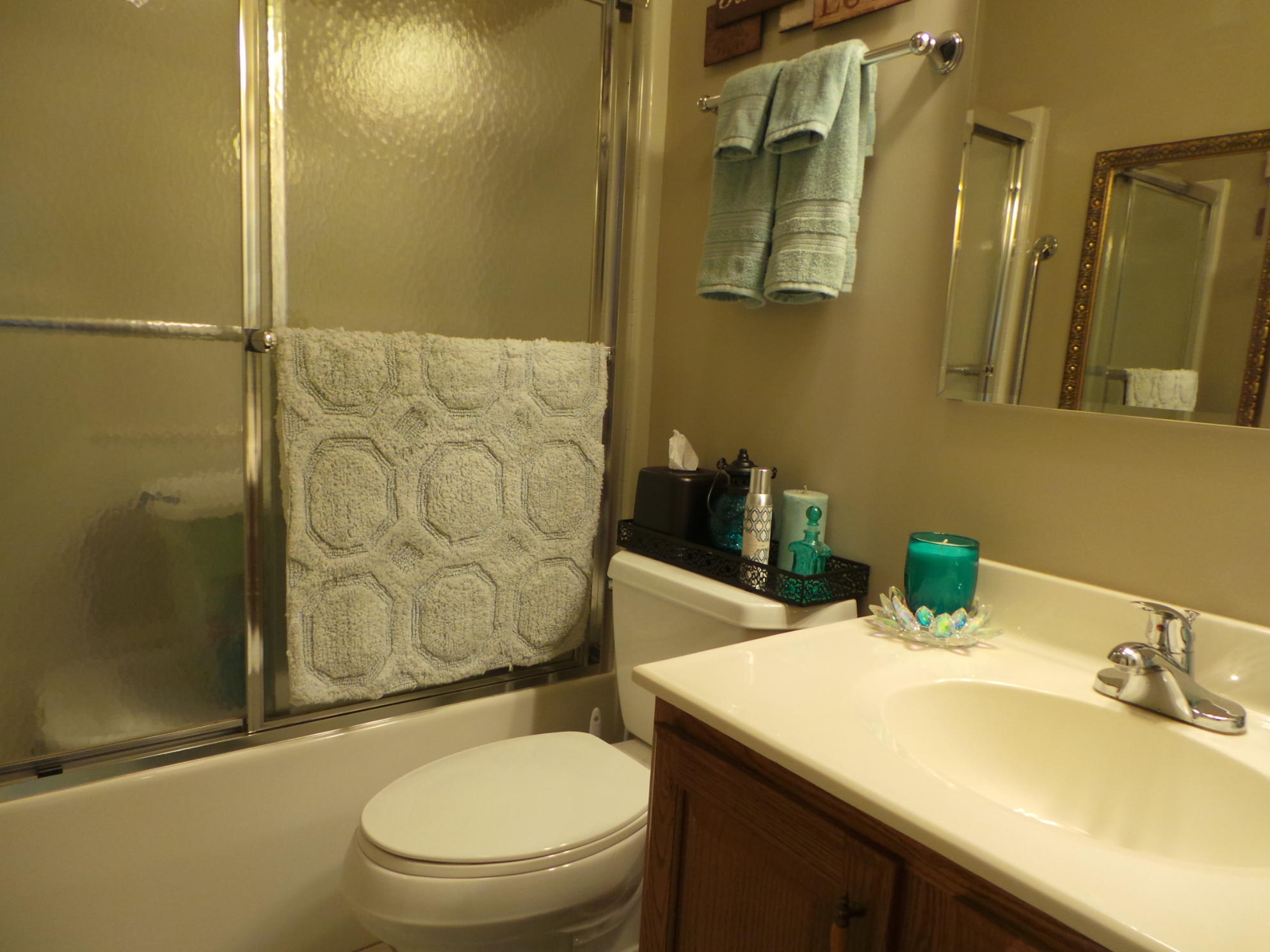 169 Laurel View Road Jonesborough, TN 37659 - Photo 118 of 159 MAIN LEVEL BATH