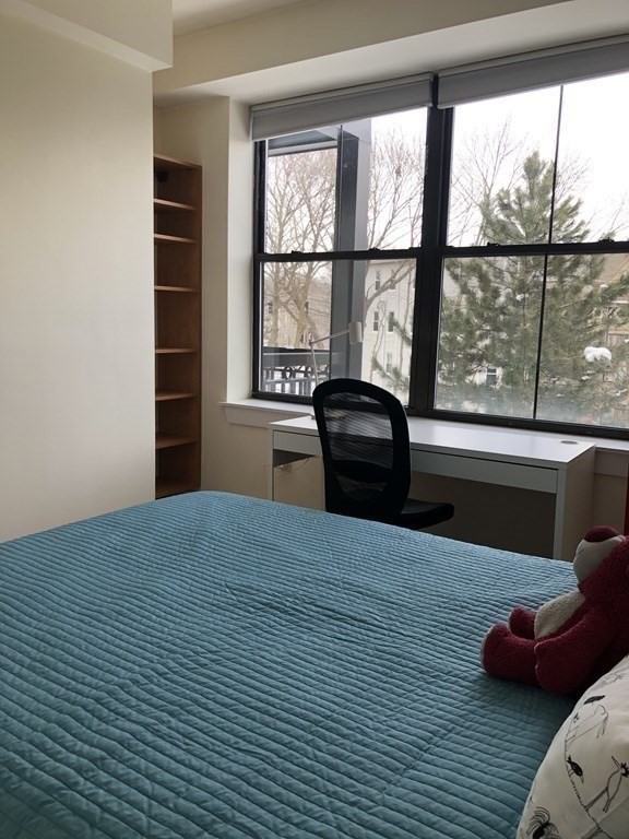 110 Cypress Street, Unit 207 Brookline, MA 02445 - Photo 3 of 8