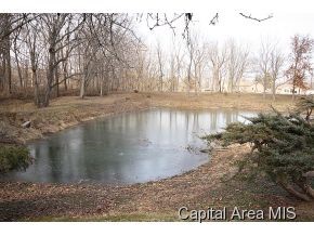2 Lamplighter Lane Springfield, IL 62712 - Photo 20 of 22
