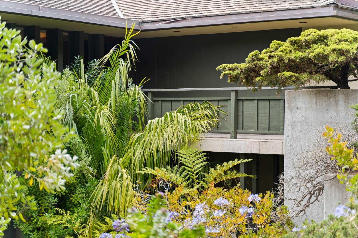 2615 Ribera Road Carmel, CA 93923 - Photo 21 of 23 a vase of flowers sitting on a shelf
