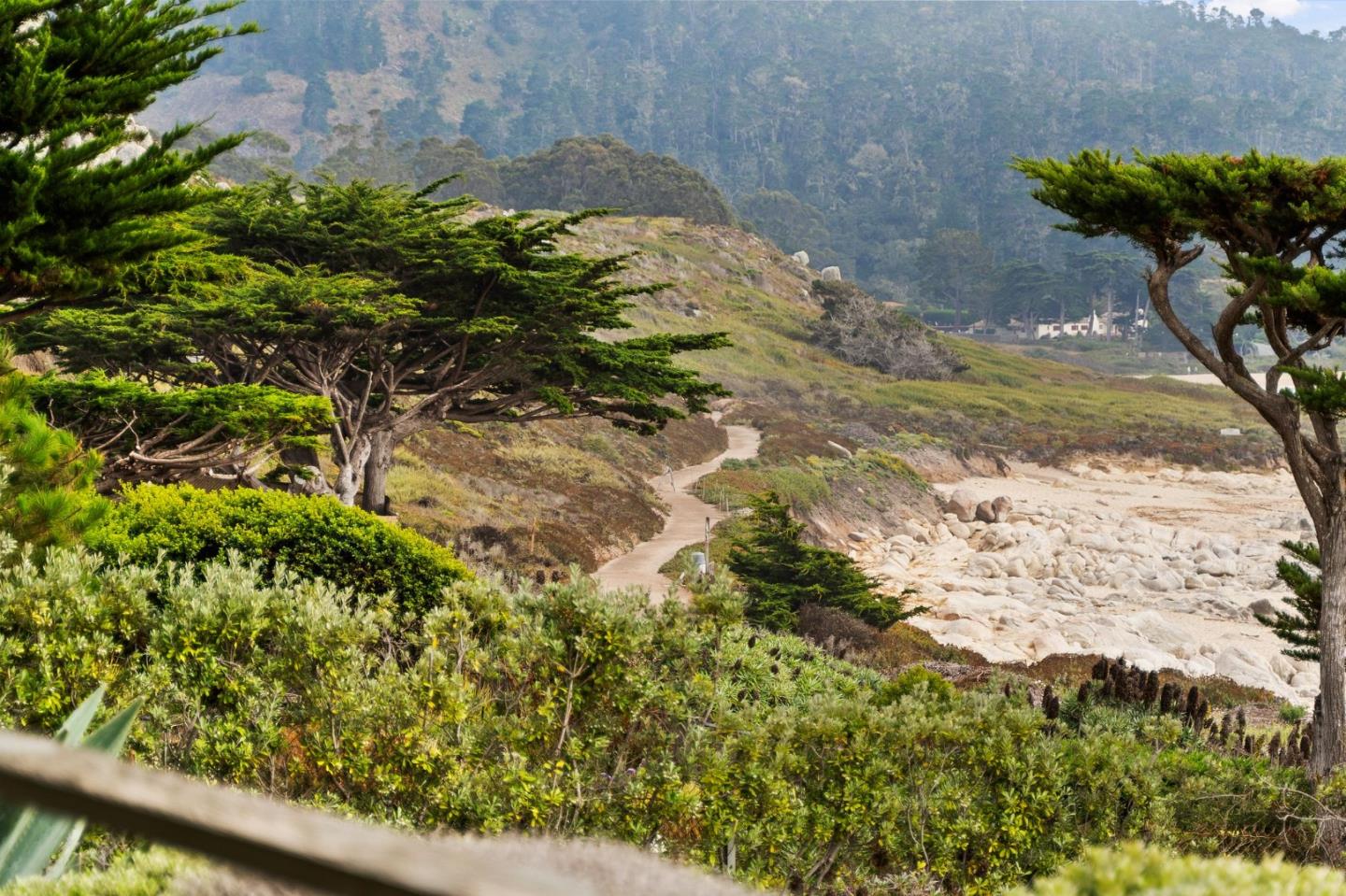 2615 Ribera Road Carmel, CA 93923 - Photo 22 of 23 a view of a garden with a flower