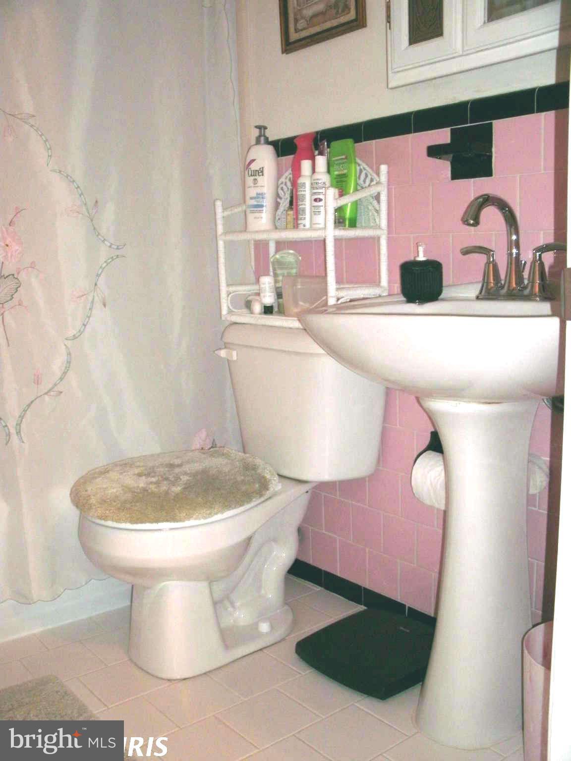 2130 Redthorn Road Baltimore, MD 21220 - Photo 18 of 21 Bath
