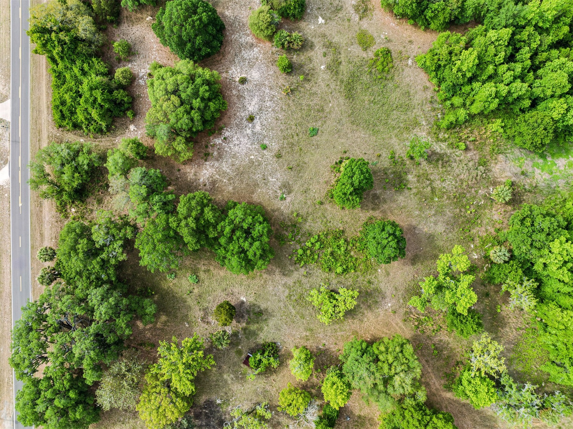 0 Kings Ferry Road Hilliard, FL 32046 - Photo 6 of 9 an aerial view of a yard with plants
