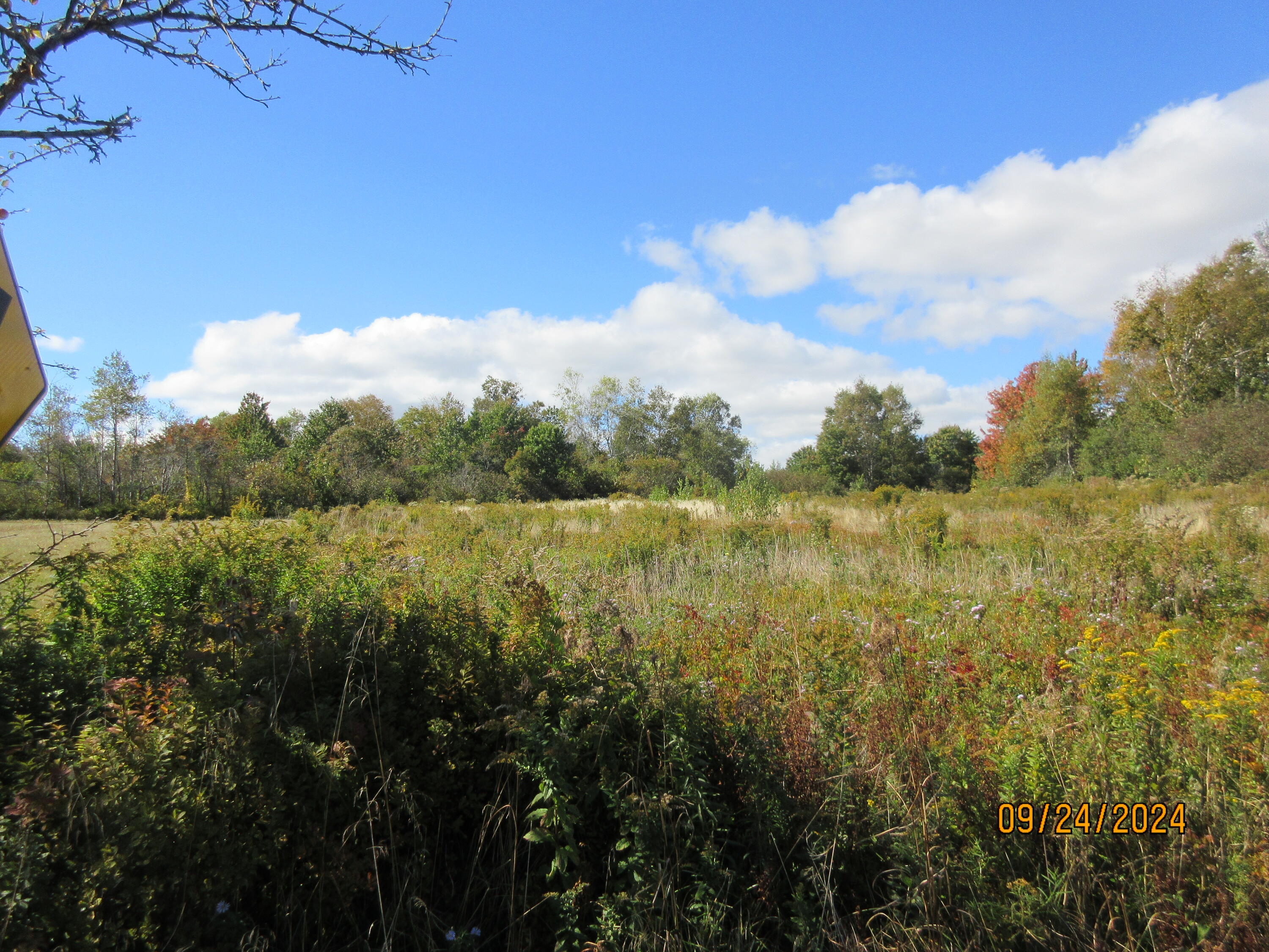 870 Mason Bay Road Jonesport, ME 04649 - Photo 5 of 20 Land
