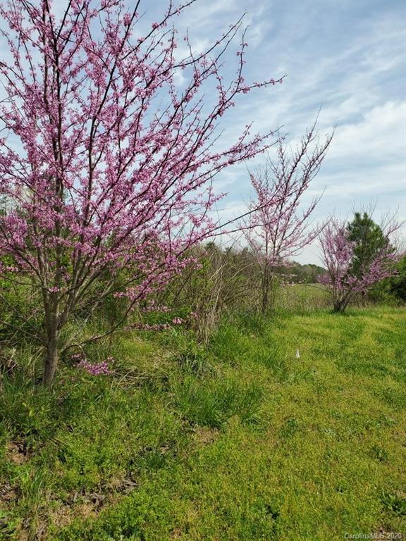 614 Harvey Logan Road Bostic, NC 28018 - Photo 22 of 29