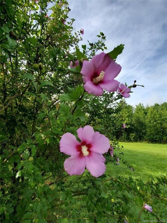 614 Harvey Logan Road Bostic, NC 28018 - Photo 24 of 29