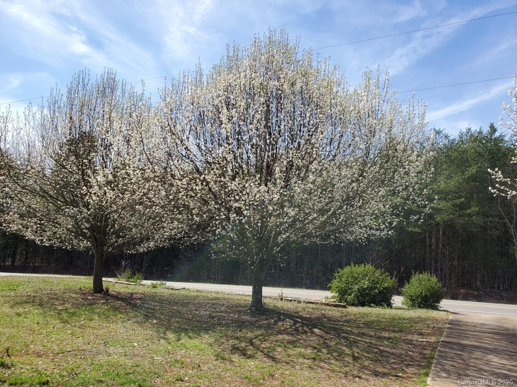 614 Harvey Logan Road Bostic, NC 28018 - Photo 27 of 29
